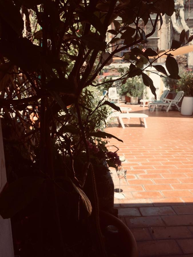 B&B La Terrazza Napoli Exterior photo