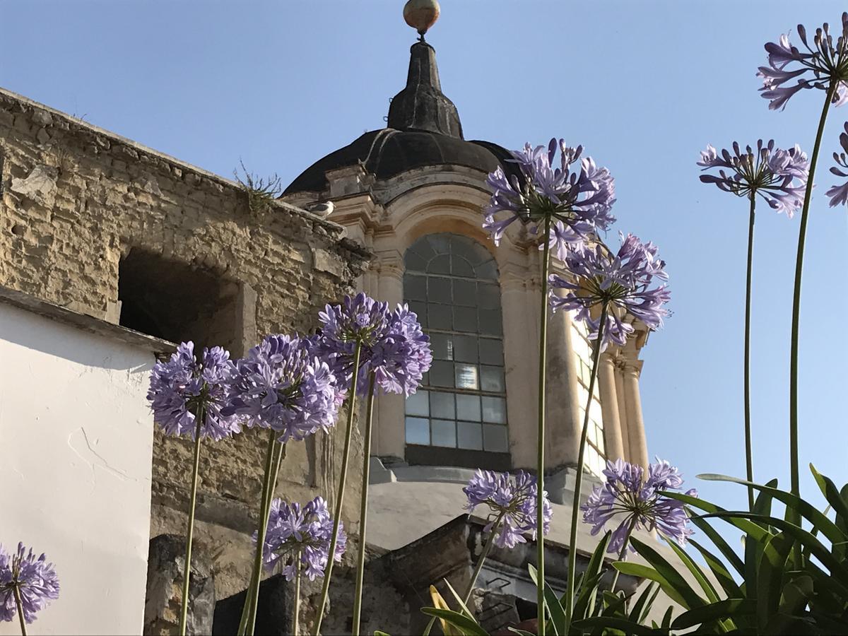 B&B La Terrazza Napoli Exterior photo