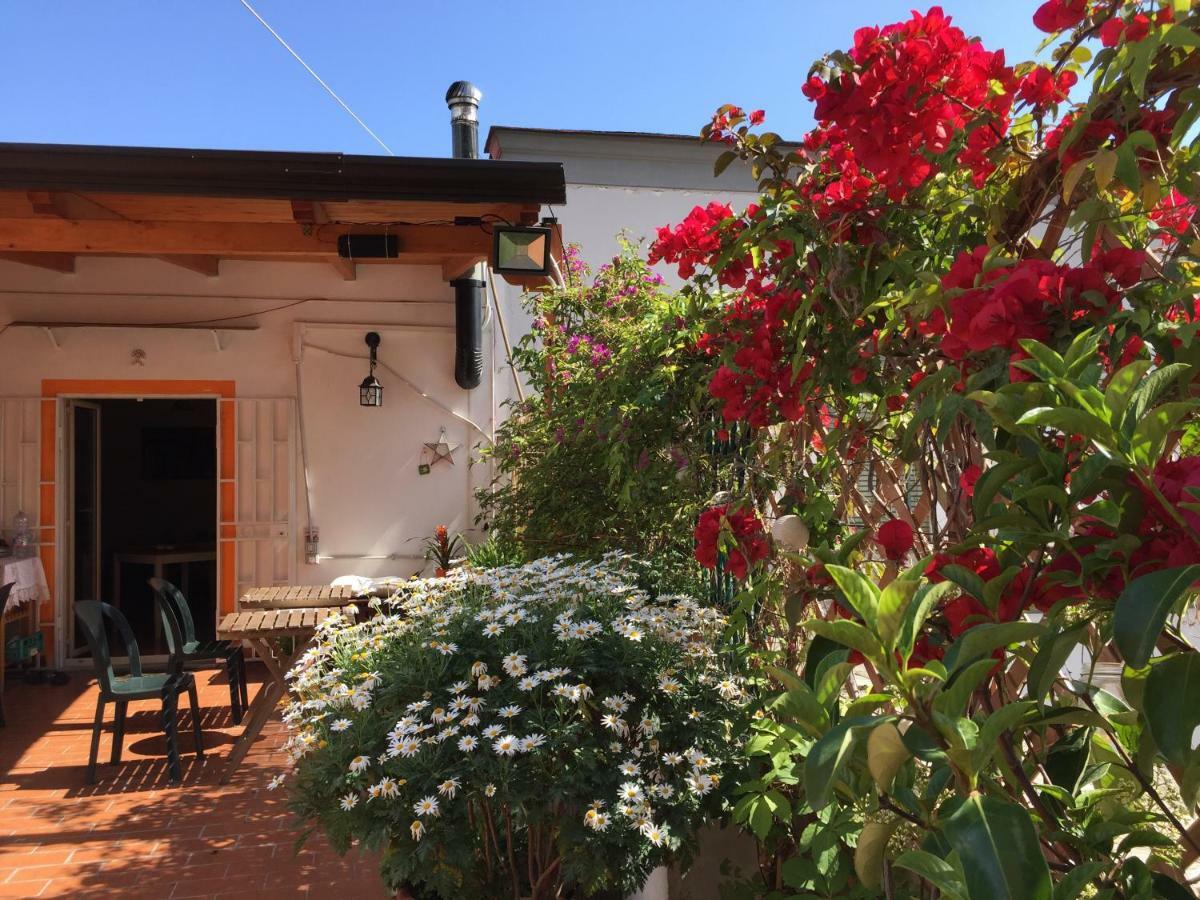 B&B La Terrazza Napoli Exterior photo